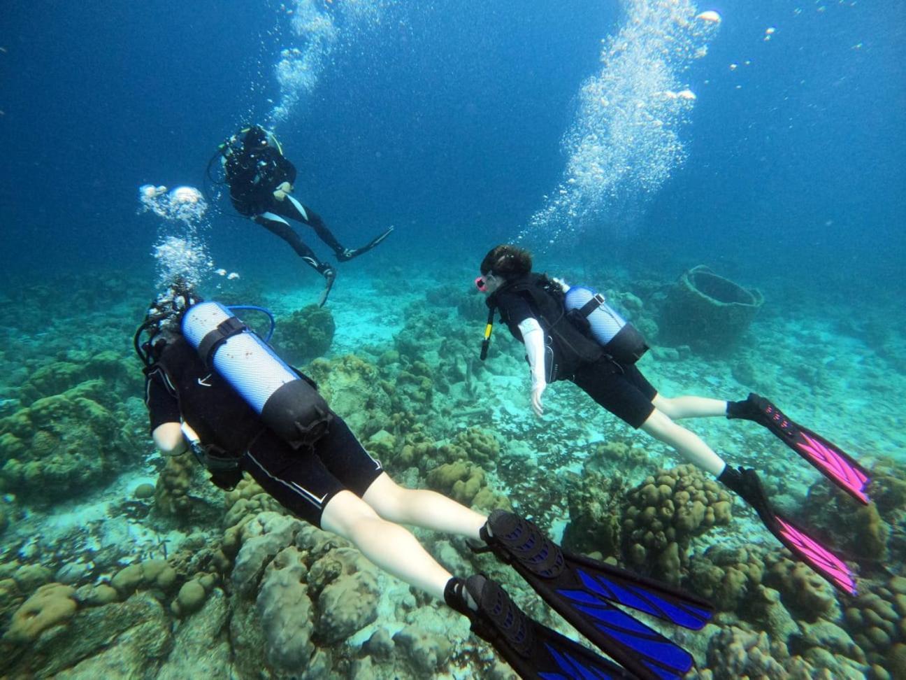 Tropical Divers Resort كراليندايك المظهر الخارجي الصورة
