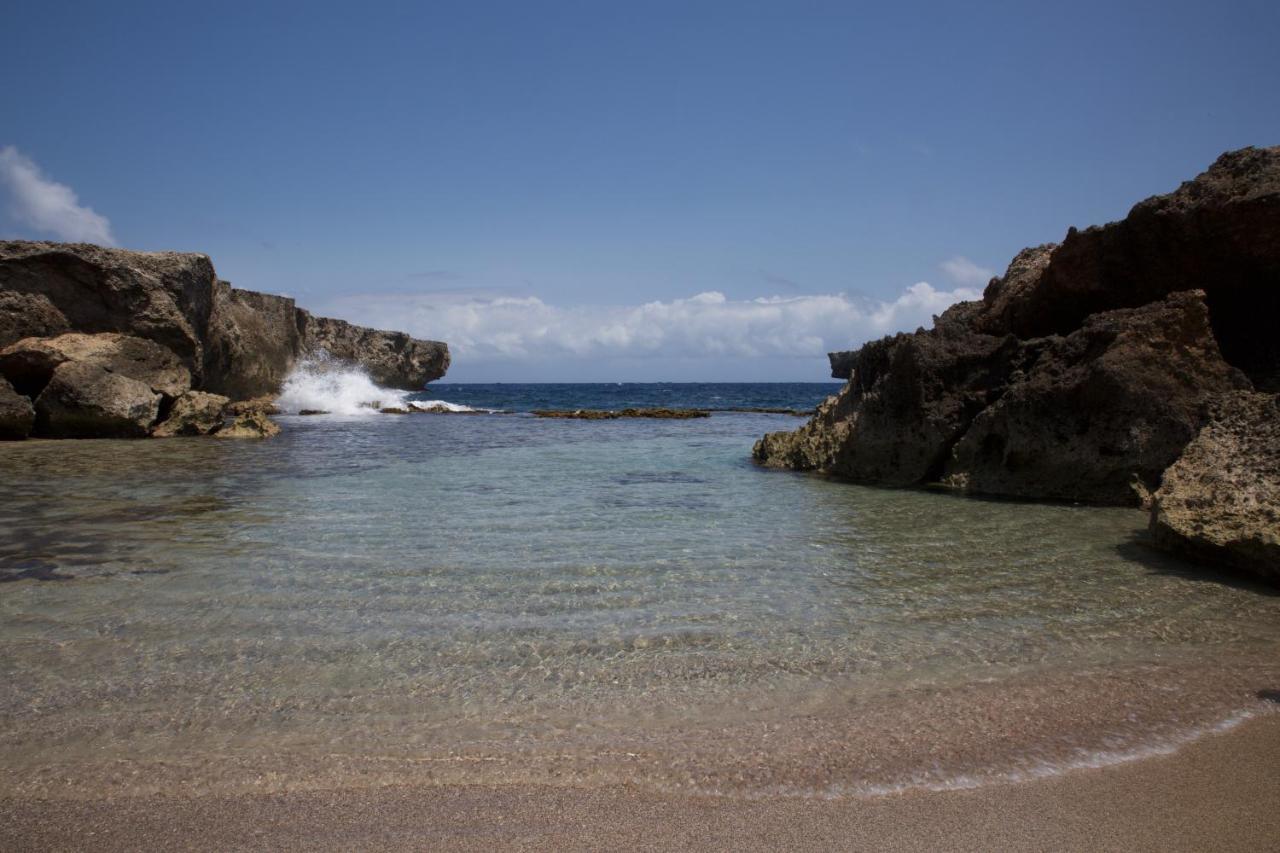 Tropical Divers Resort كراليندايك المظهر الخارجي الصورة